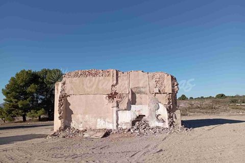 Finca i Caudete, Albacete, Caudete - € 29.995 | Ref: SF0480 - foto 10